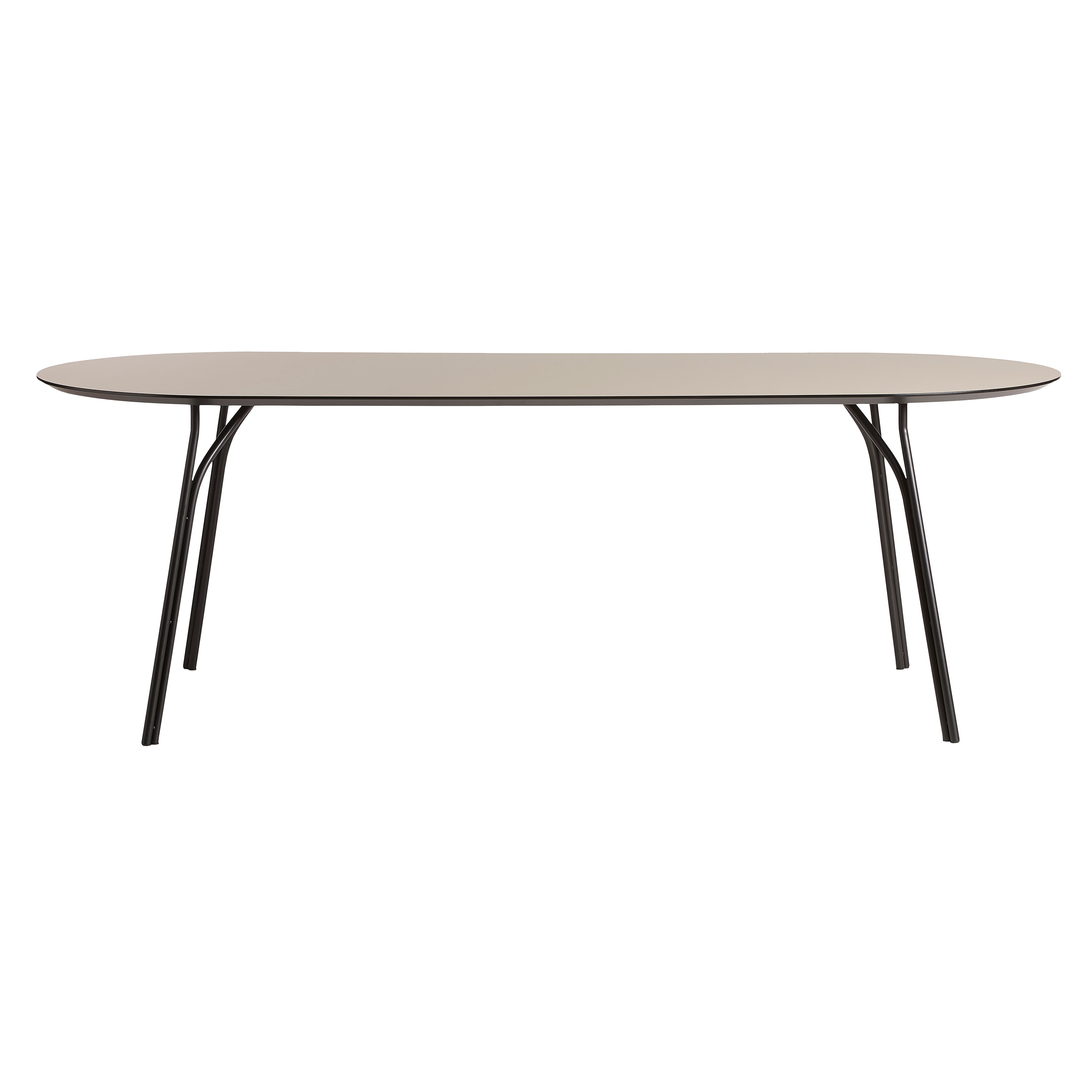 Tree Dining Table: Oval - 86.6