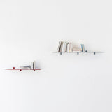 Shelf n°1