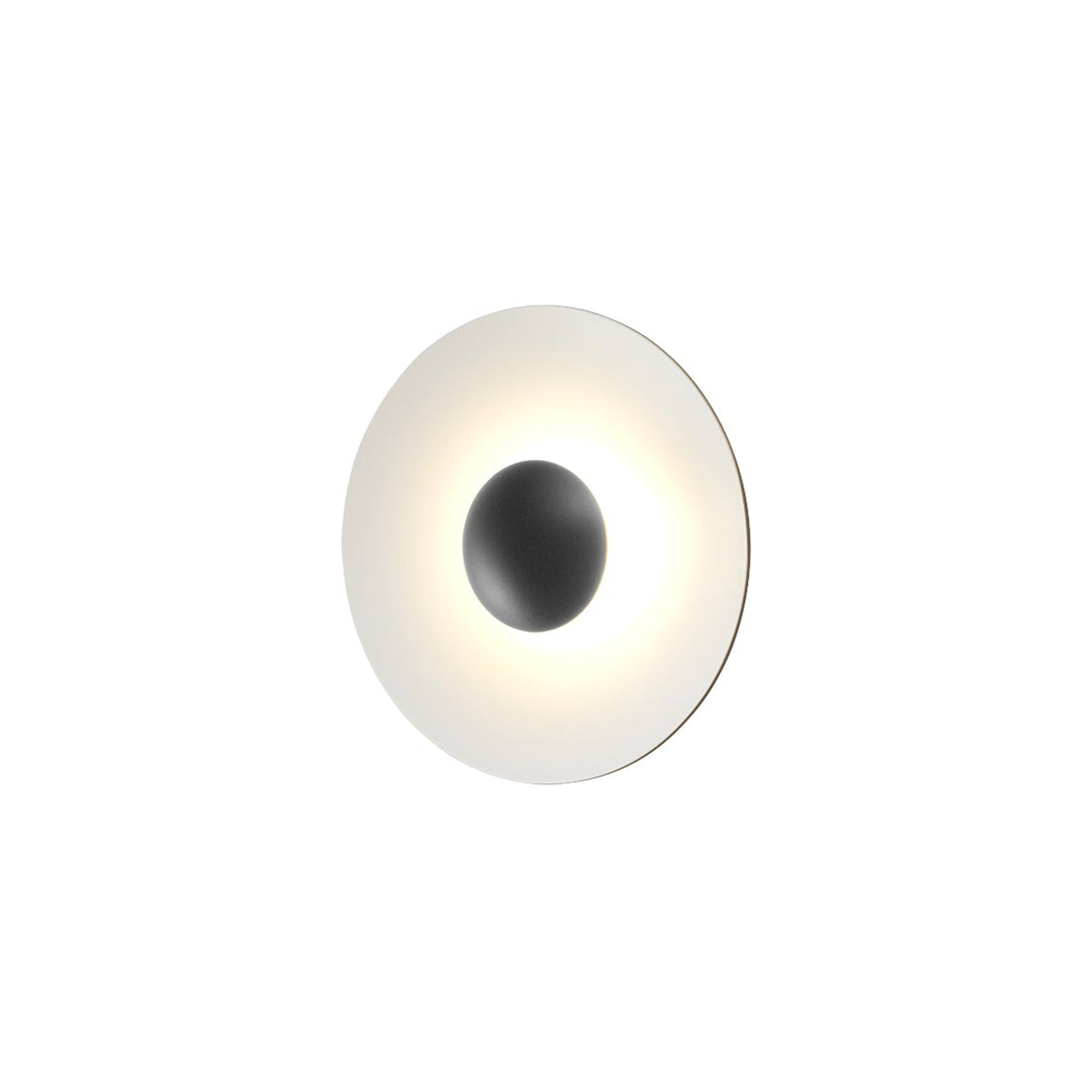 Ginger Wall Light: 20C + Oak + White + Non-Dimmer
