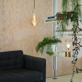 The Muse Portable Lamp: Special Edition