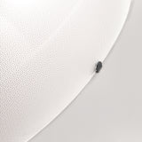 Iris Ceiling/Wall Light