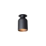 Spotlight Volumes Ceiling/Wall Light: C + Black