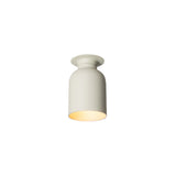 Spotlight Volumes Ceiling/Wall Light: C + Sage
