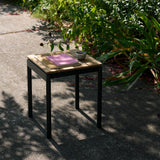 insitu