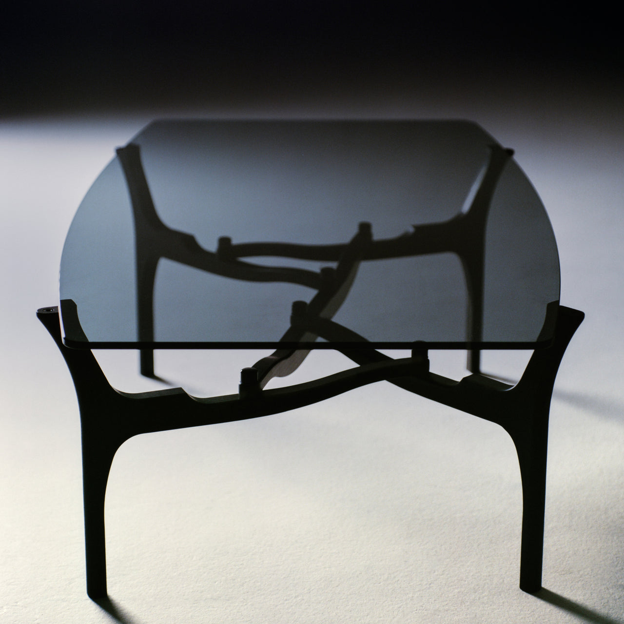 Carlinas Low Coffee Table