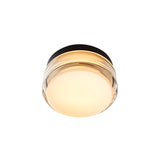 Copia Flush Mount: Simply Clear + Black Anodized