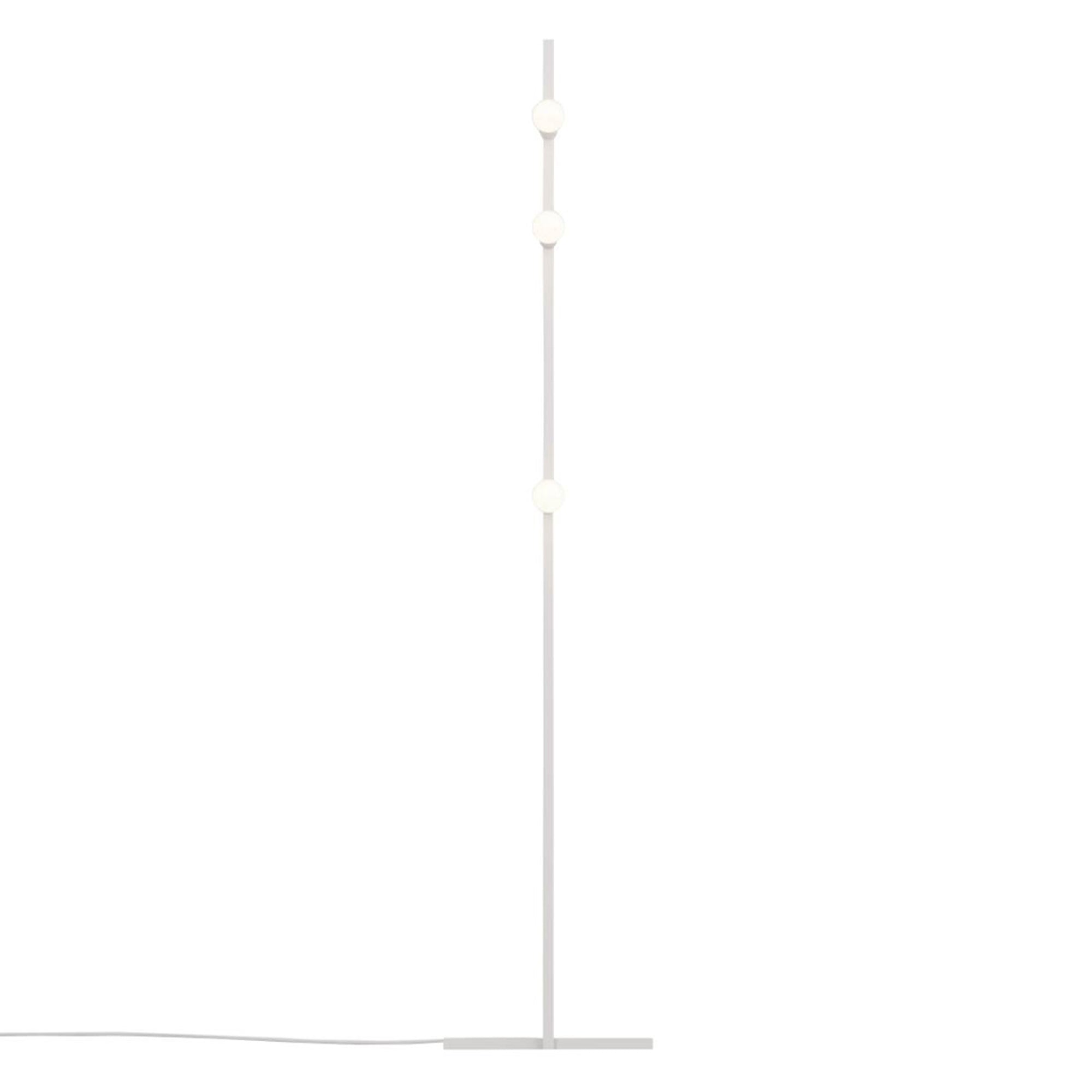 Dot Line Floor Lamp: White + White