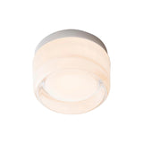 Dimple IP65 Flush Mount: White Interior + Natural Anodized