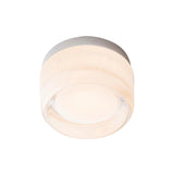 Dimple Flush Mount: White Interior + Natural Anodized