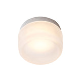 Dimple IP65 Flush Mount: Frosted Glass + Natural Anodized