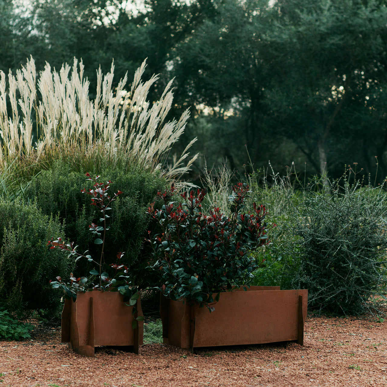 Lapel Planter