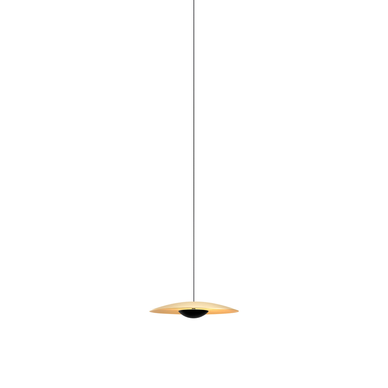 Ginger 20-24V Pendant Light: Brushed Brass