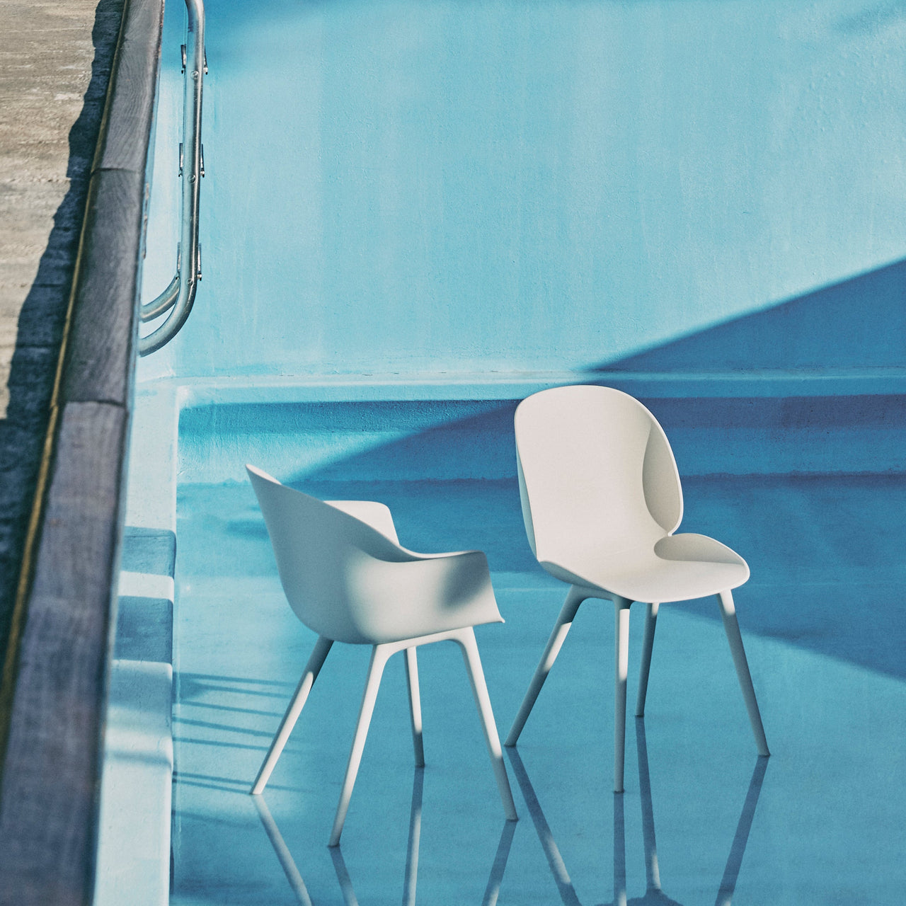 Beetle Outdoor Dining Chair: Plastic Base