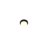 Hoist Flush Mount: Without Shade + Small - 4