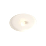 Hoist Flush Mount: With Large Shade + Small - 4