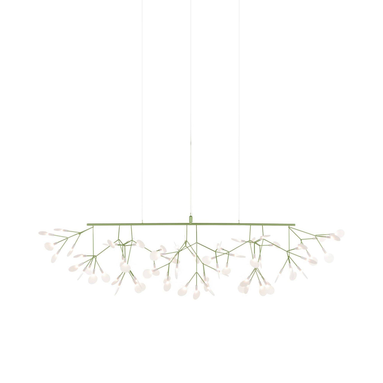 Heracleum III Linear Light: Green
