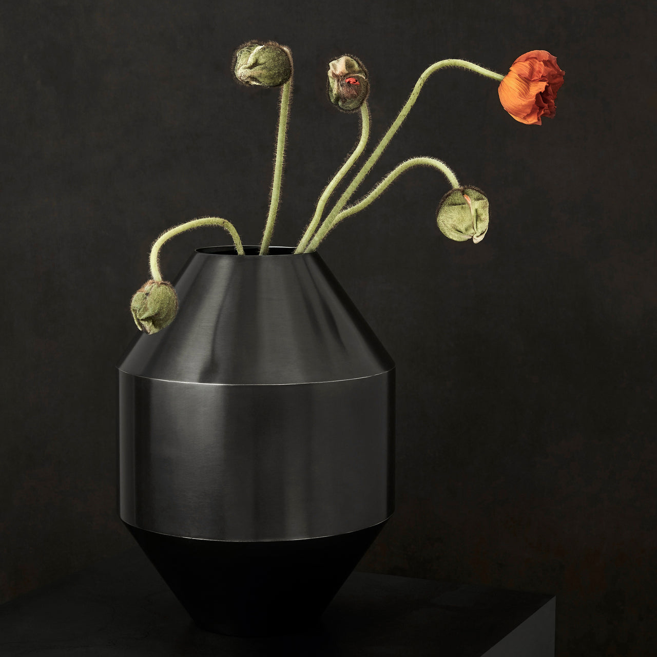 Hydro Vase