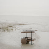 insitu