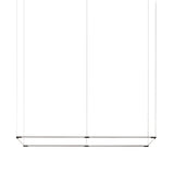 Thin Primaries Rectangle: Large - 72