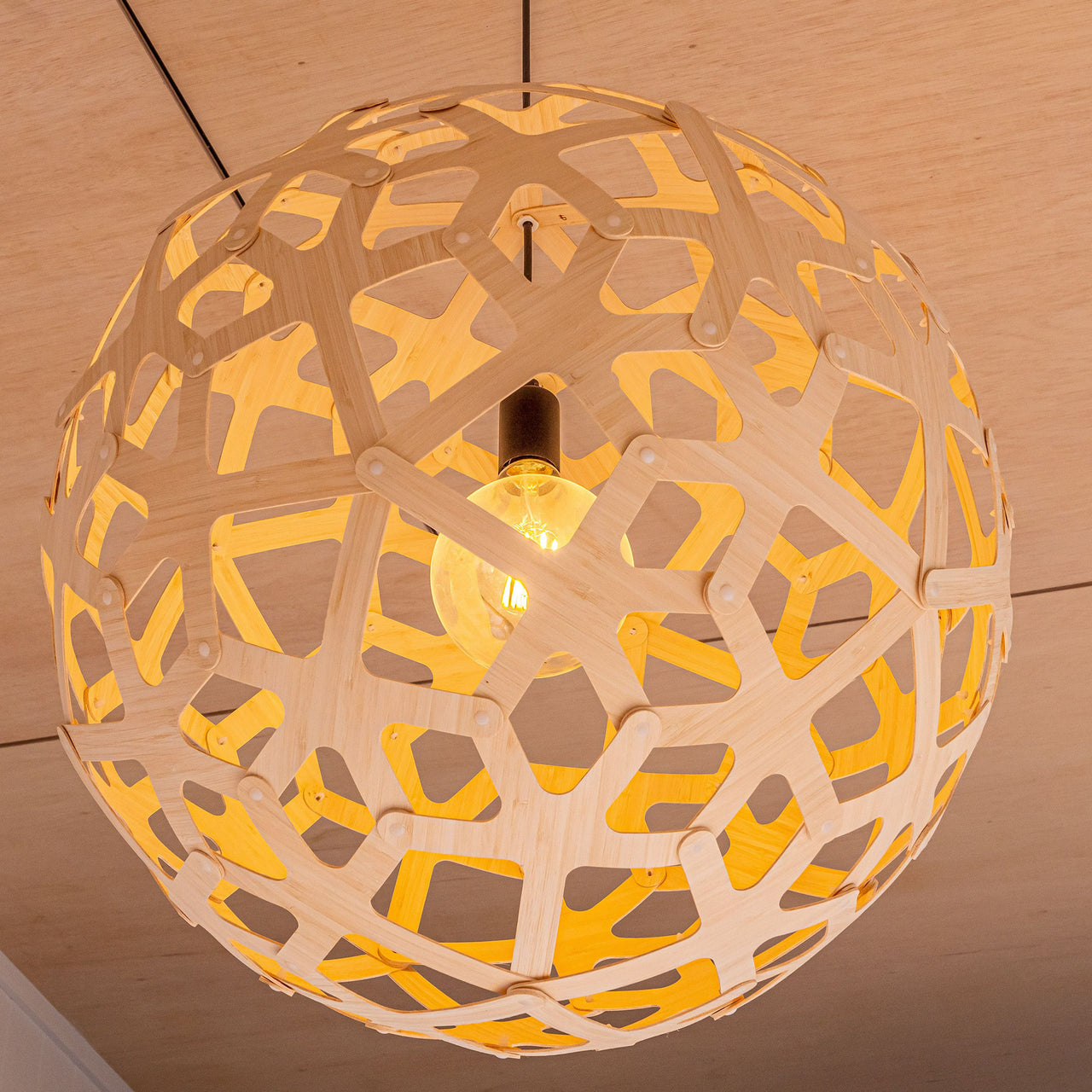 Coral Pendant Light: XX Large