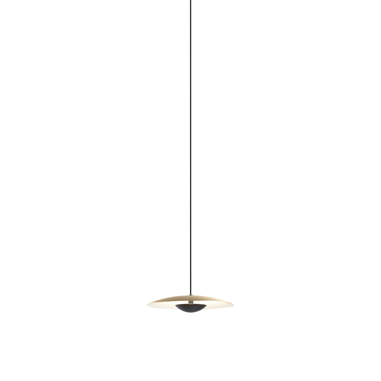 Ginger 20-24V Pendant Light: Brushed Brass + White