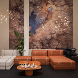 insitu