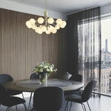 Apiales 18 Chandelier