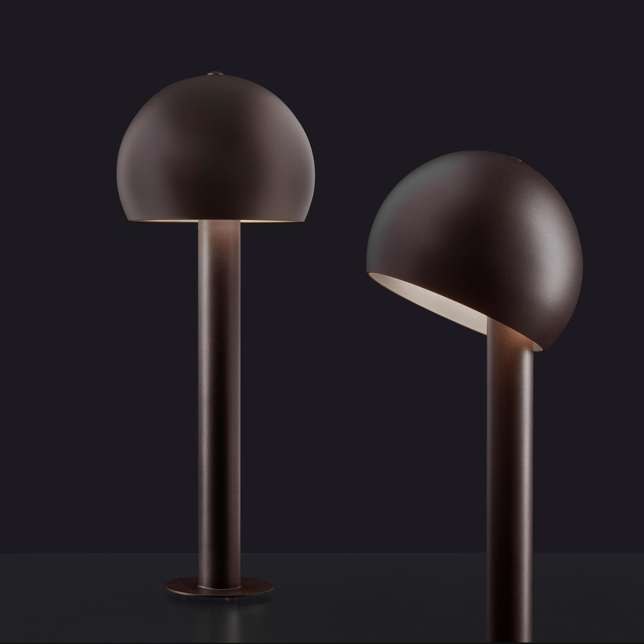 insitu