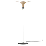 Jazz Champagne Floor Lamp: Oak + Black