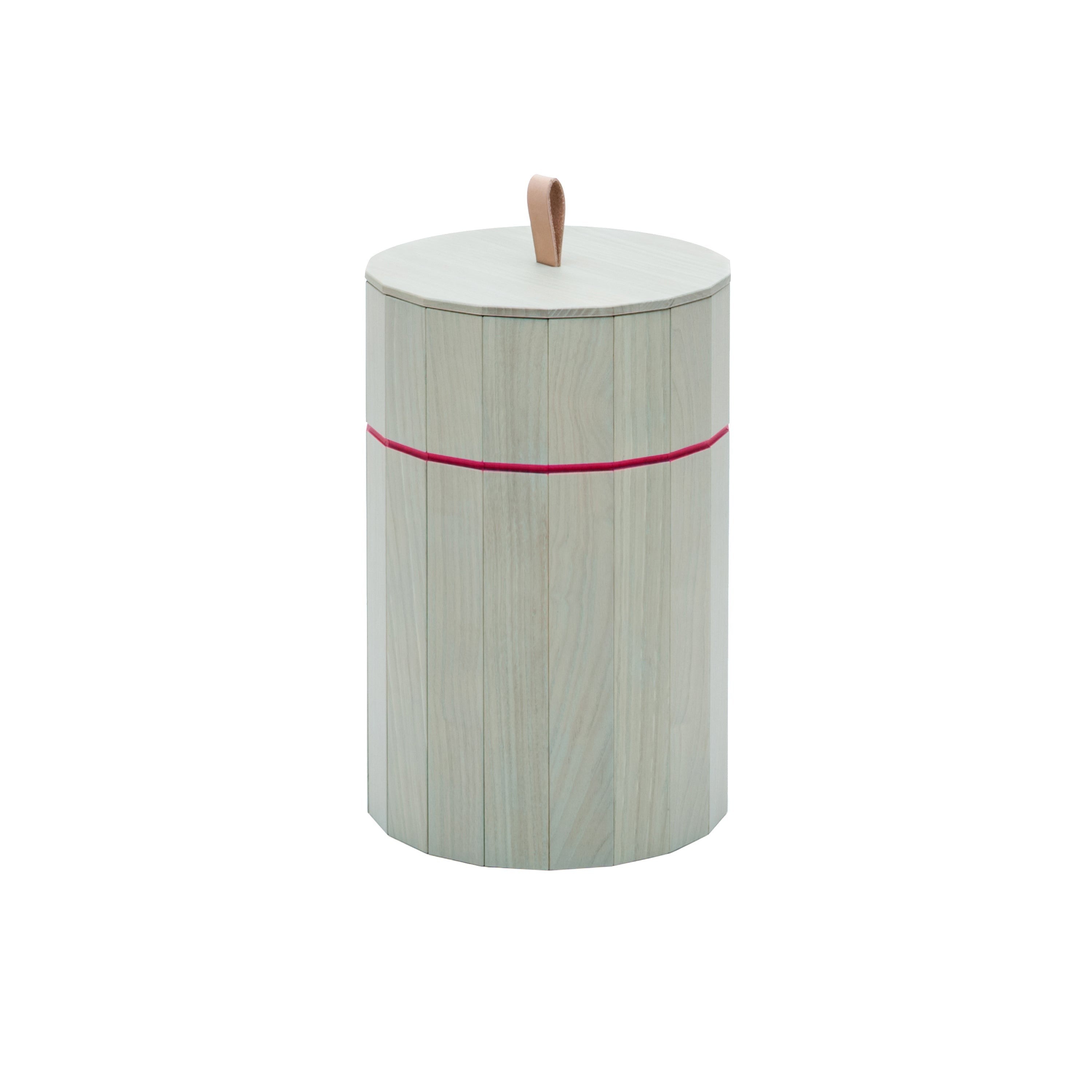 Colour Bin Storage Containers: Large - 8.8