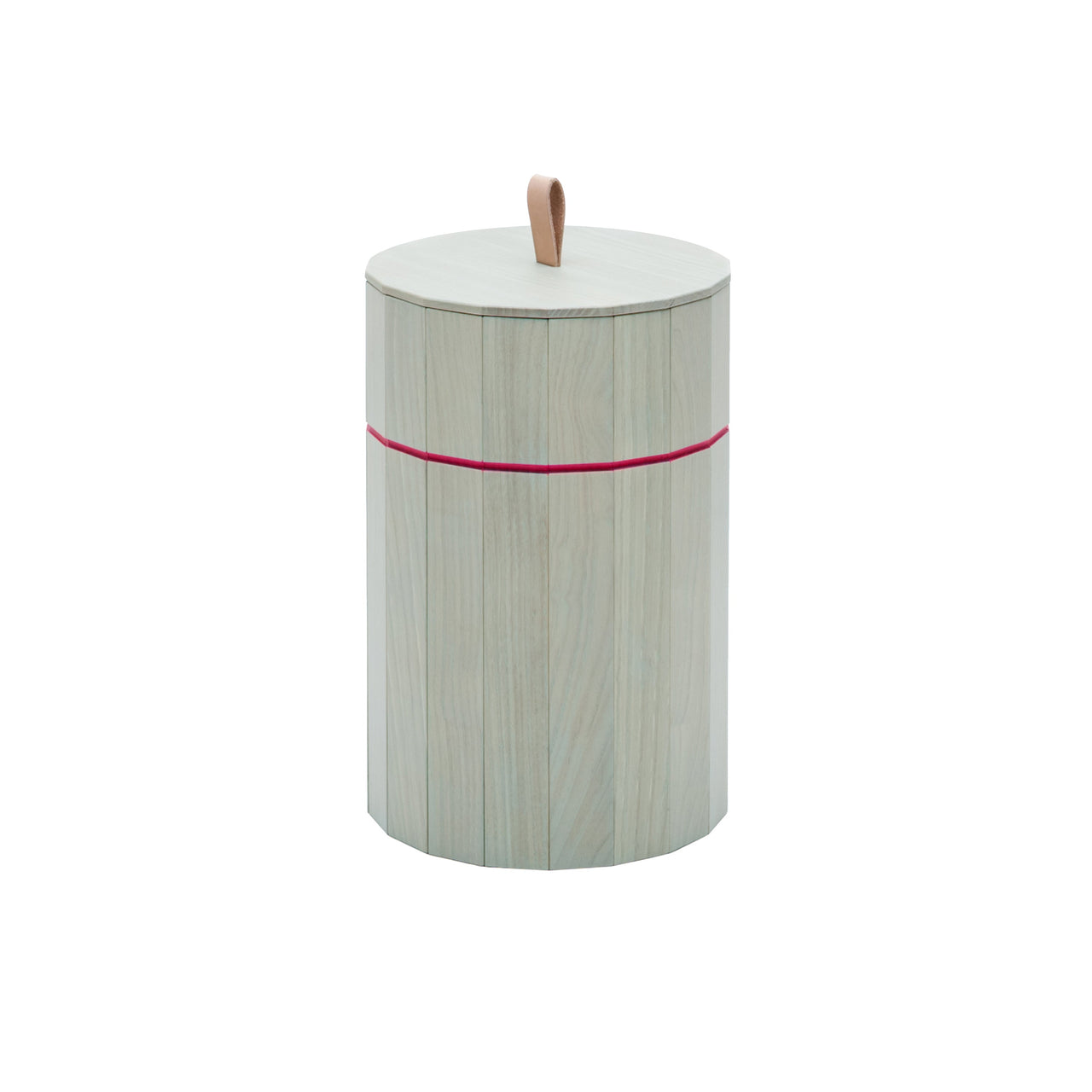 Colour Bin Storage Containers: Large - 8.8