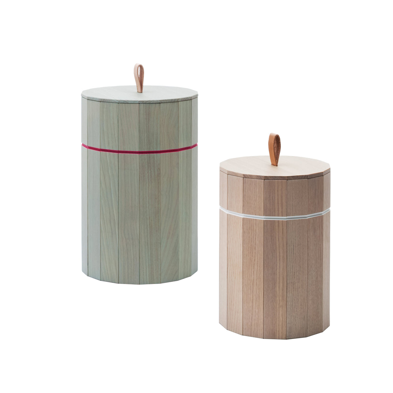 Colour Bin Storage Containers: Large - 8.8