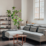 Insitu