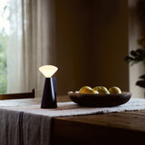 Mantle Portable Lamp