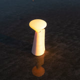 Mantle Portable Lamp