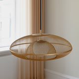 Faraday Pendant Lamp: Quick Ship