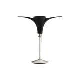 Jazz Champagne Table Lamp: Black Oak + Brushed Steel