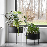 Pidestall Planter