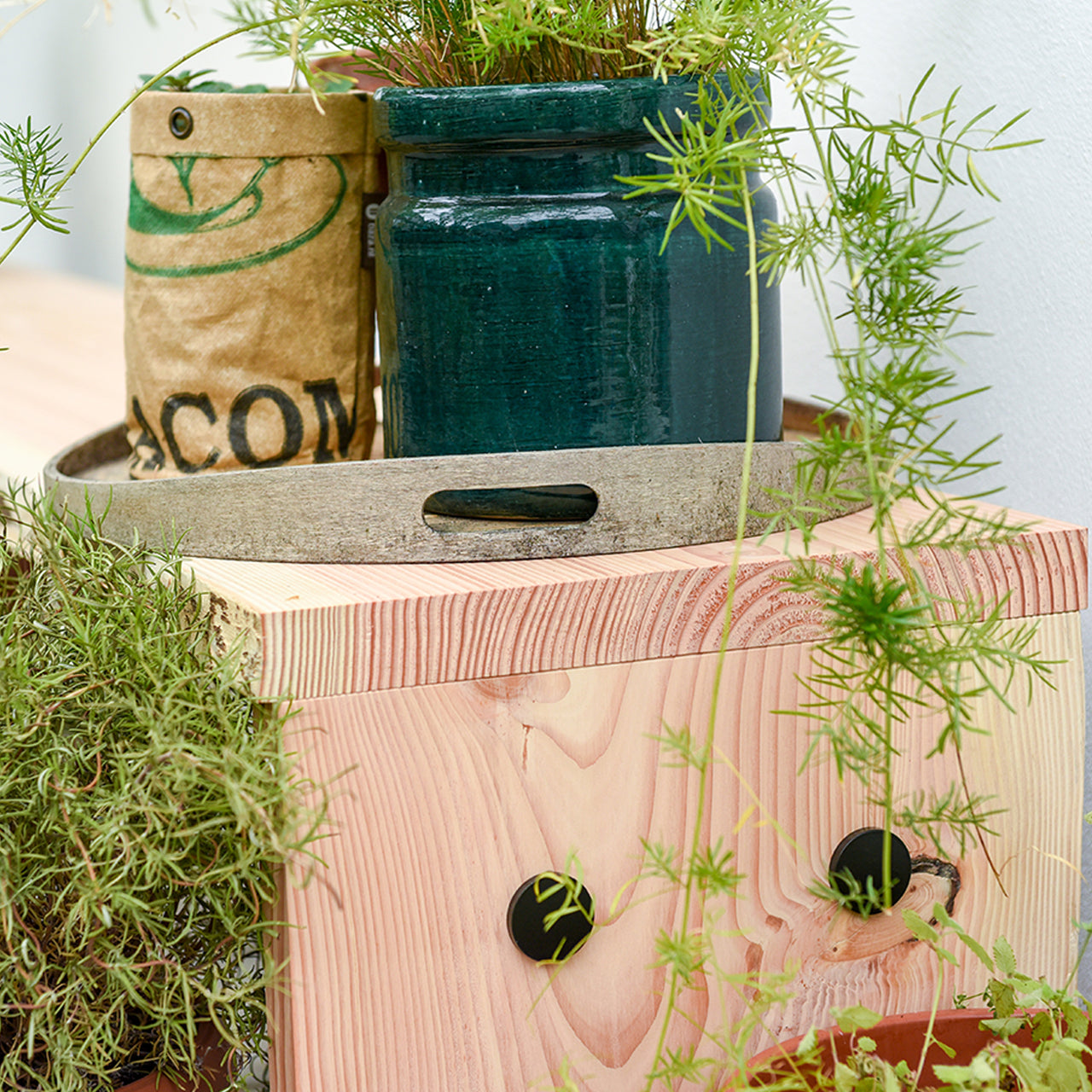 Forestry Bench