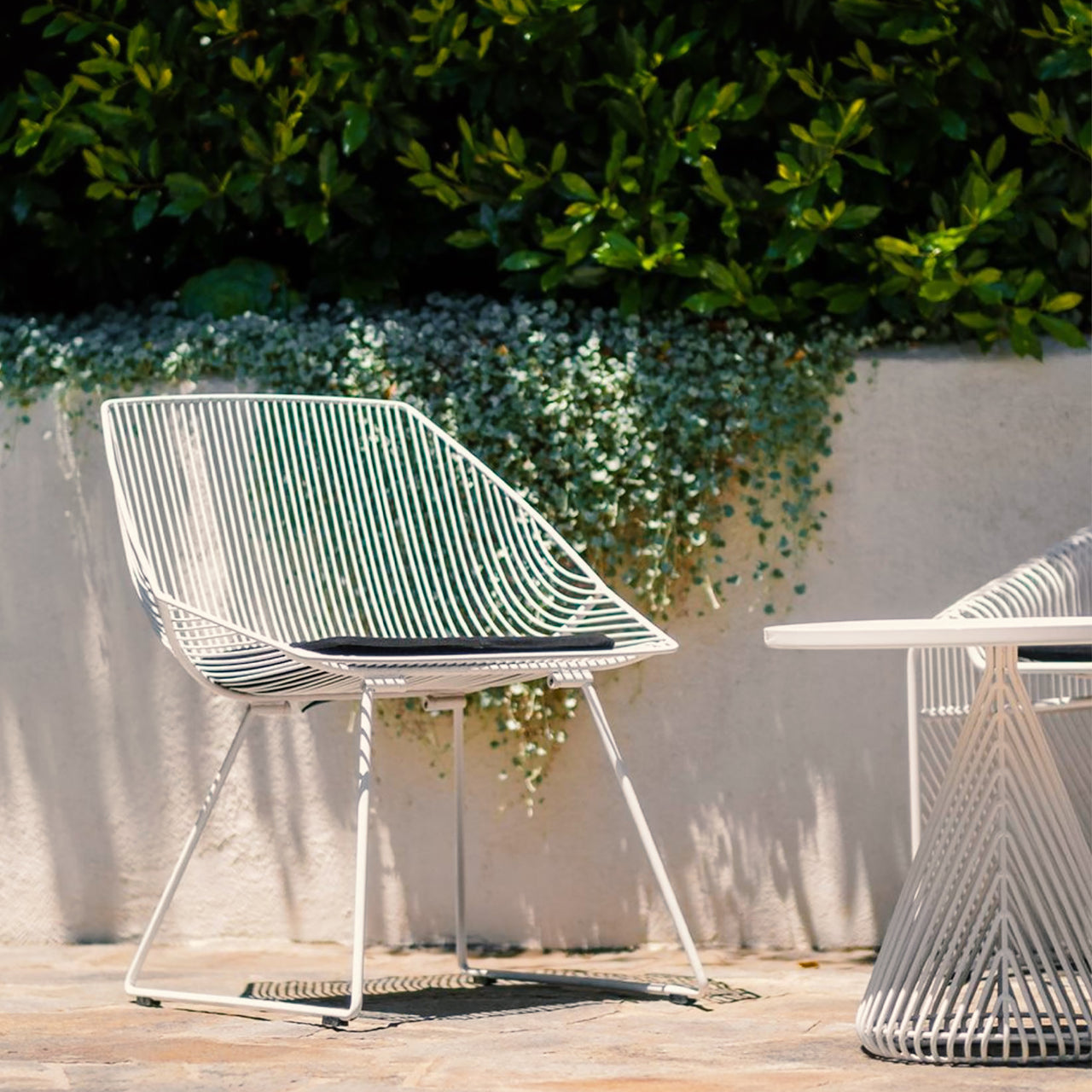 Bunny Lounge Chair: Color