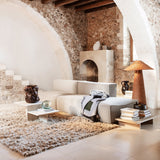 insitu