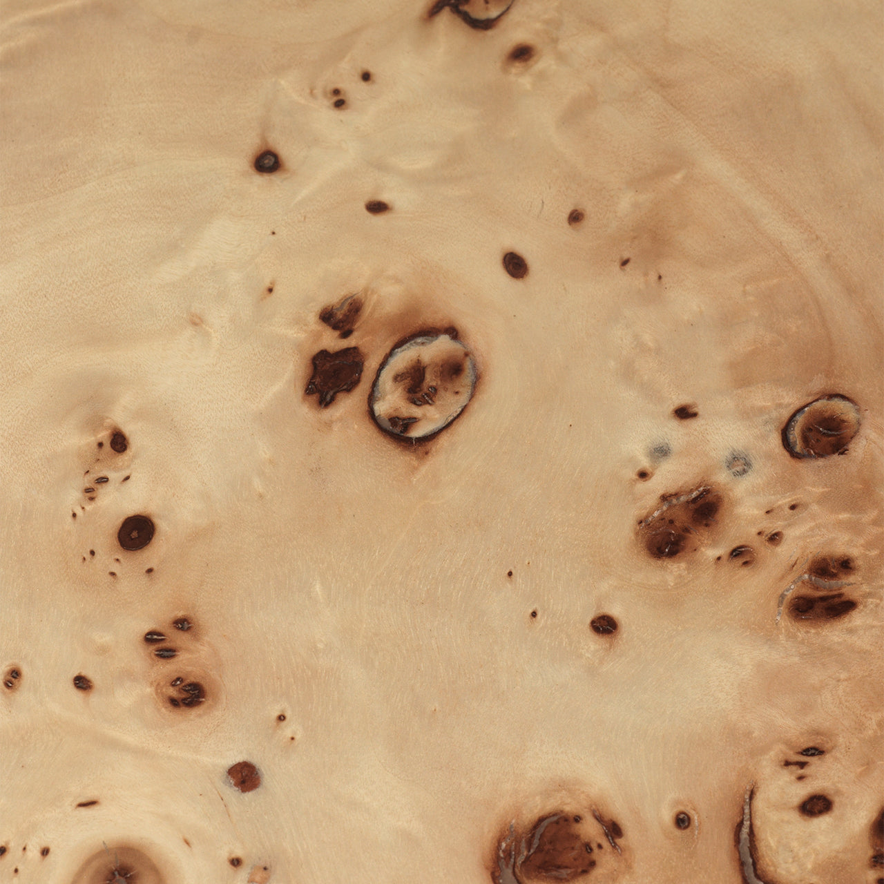 Burl Coffee Table