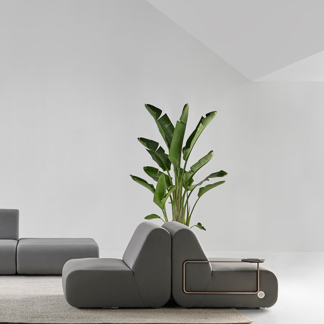 insitu