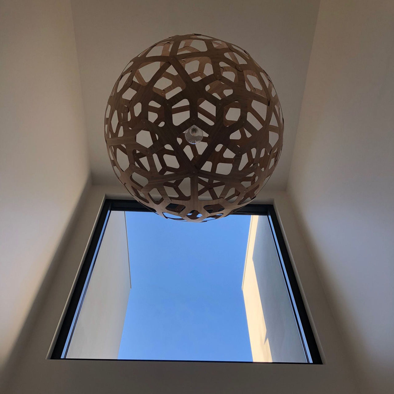 Coral Pendant Light: Extra Large