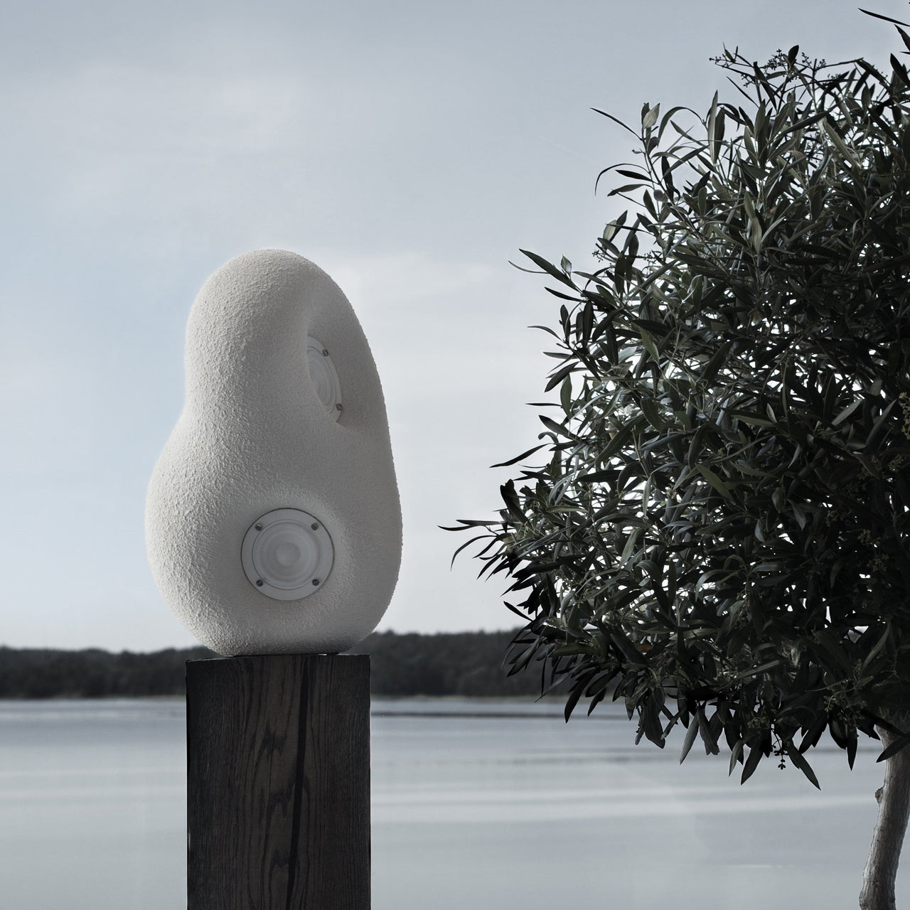 Acoustic Sculpture