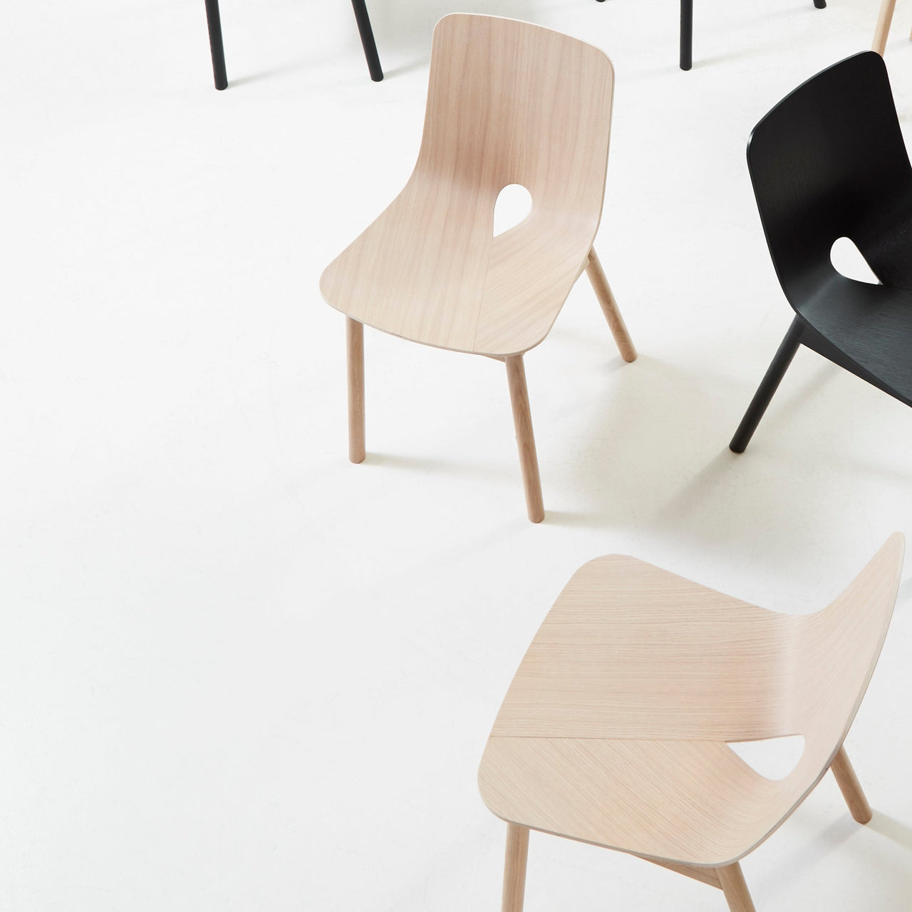 Mono Dining Chair