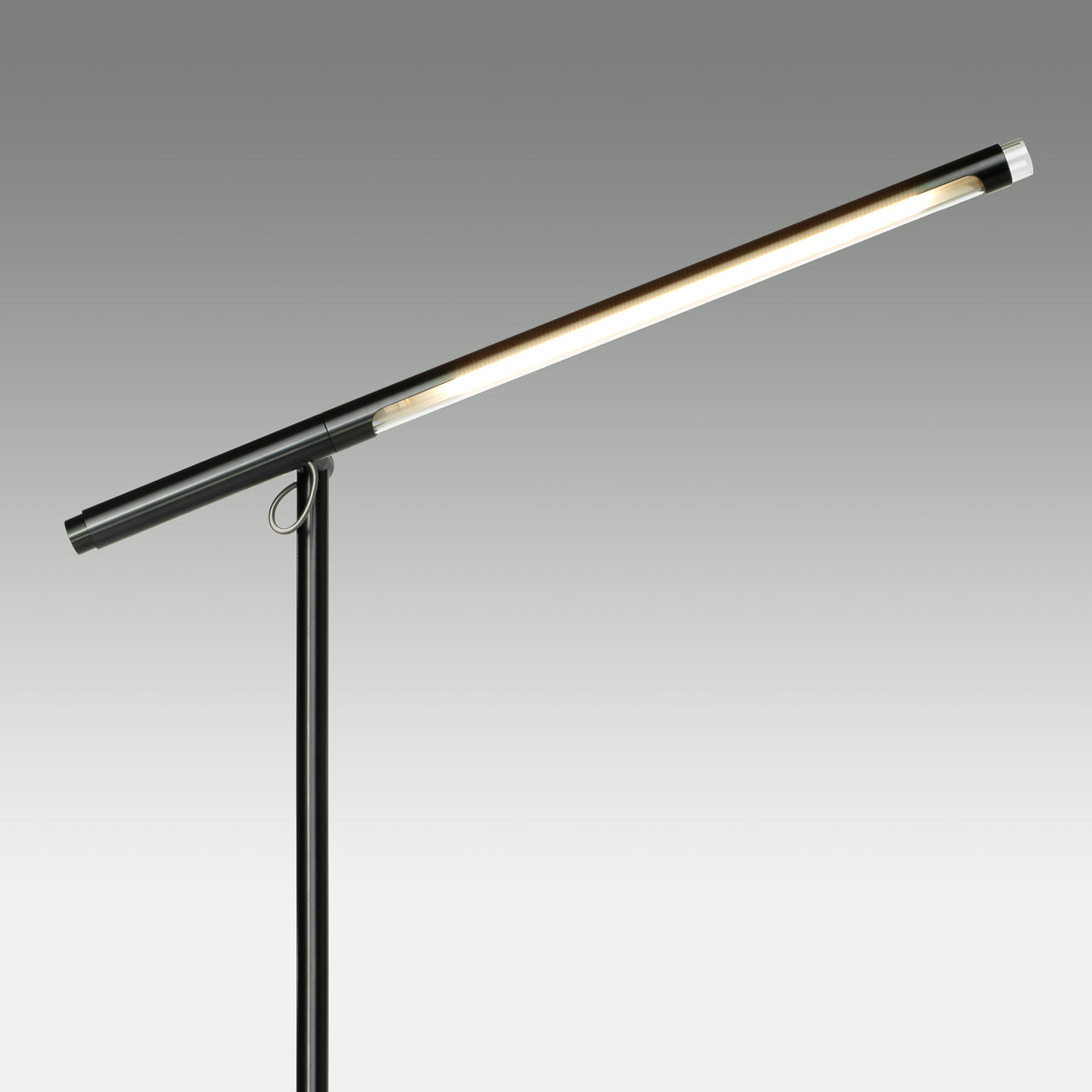 Brazo Floor Lamp