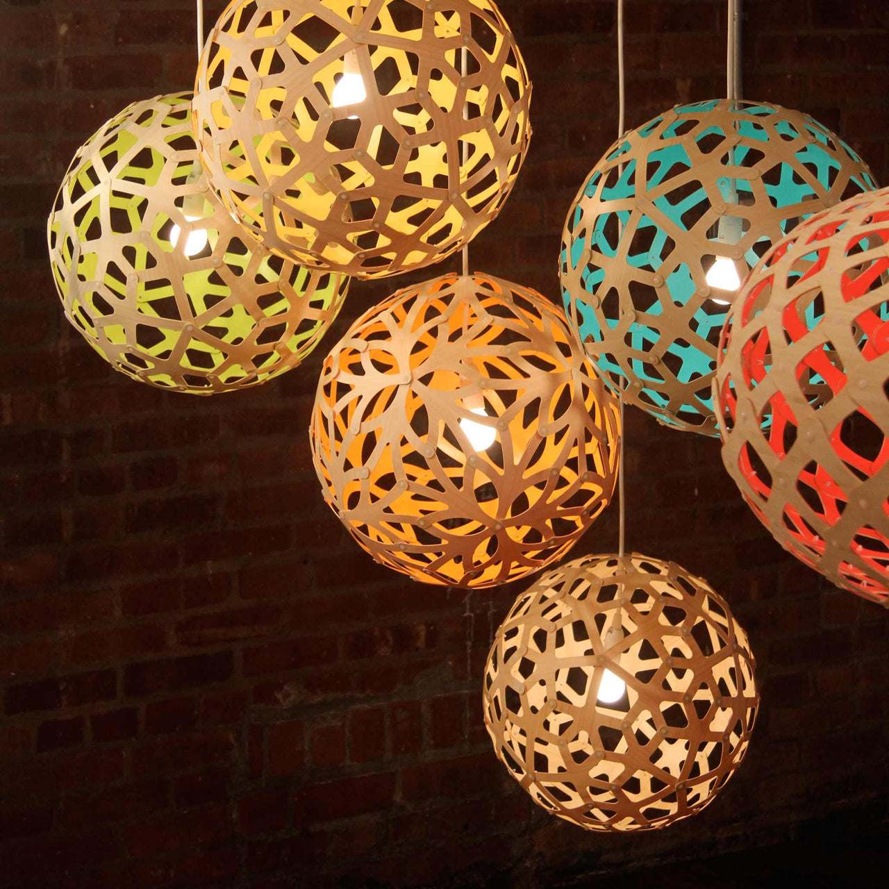 Coral Pendant Light: Large