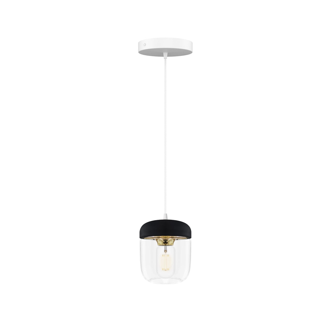 Acorn Pendant: Black + Polished Brass + White (Canopy)