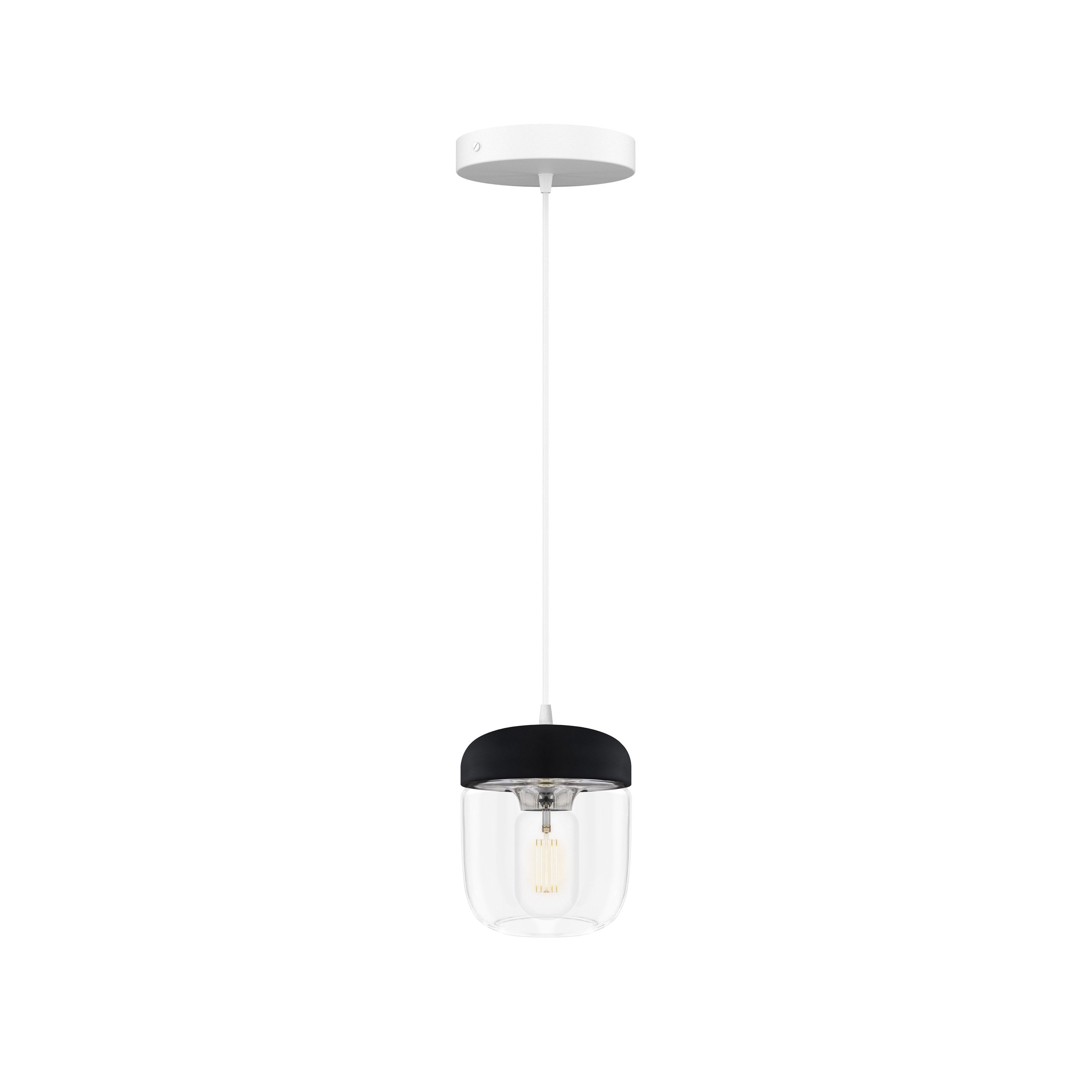 Acorn Pendant: Black + Polished Steel + White (Canopy)